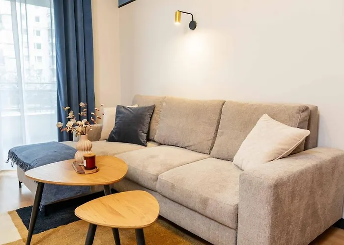 Maple Tree Premium Mokotow *